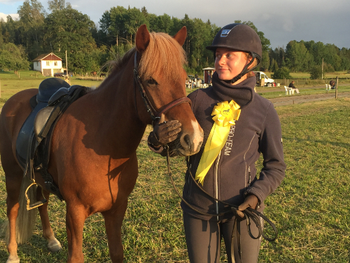 Tvling tlt.nu, aug 2019