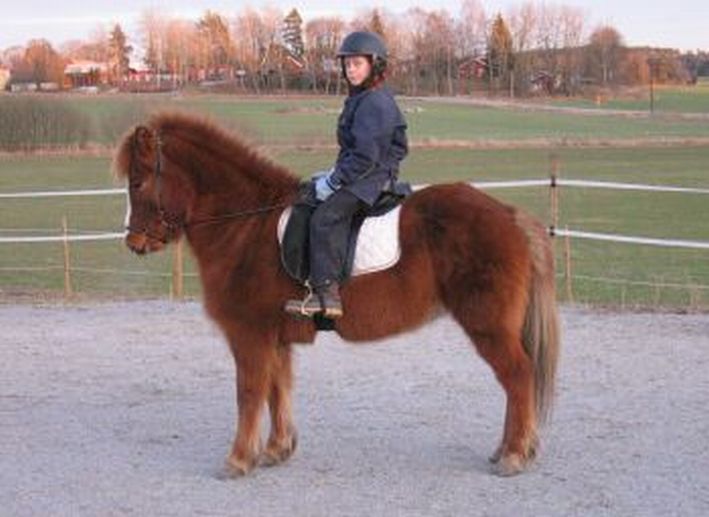 Elida p Blesa, 15 januari 2005.
