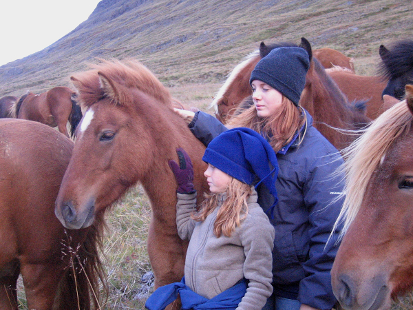 Staðartunga 2009