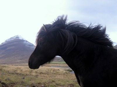 Kristall