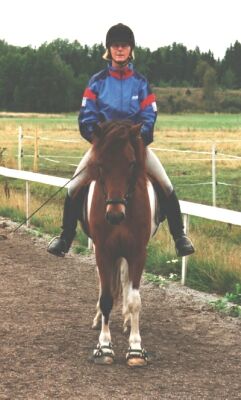 Sproti och sa under trning p Husbyhn