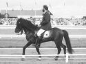Tyr